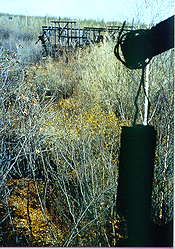 autumn.jpg (14753 bytes)