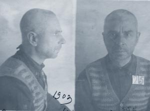 Elkin_LN_1.jpg (19087 bytes)